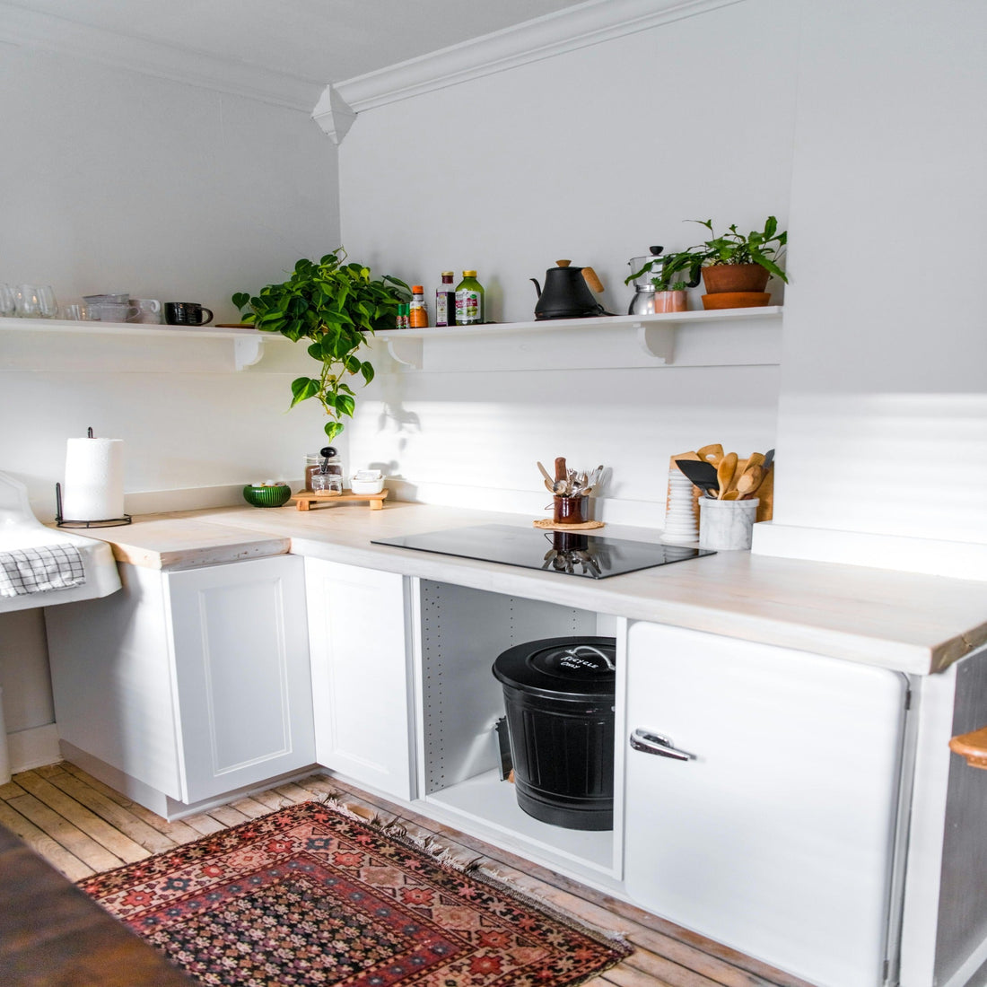 Modern white kitchen with floating shelves, plants, and compact counter space.