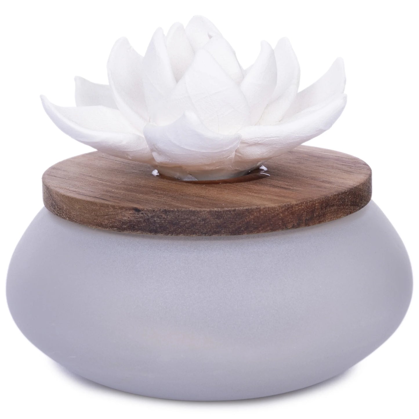 Wicking Ceramic Diffuser, Frosted Succulent