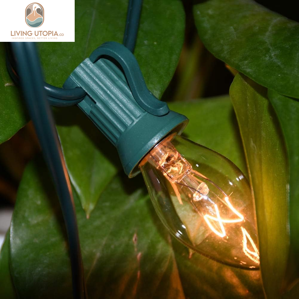 25 Pack C7 Clear Replacement Bulbs, C7 Clear Light Bulbs for Christmas Outdoor Patio Indoor String Lights, C7/E12 Candelabra Base, 5 Watt Night Light Bulbs- Clear
