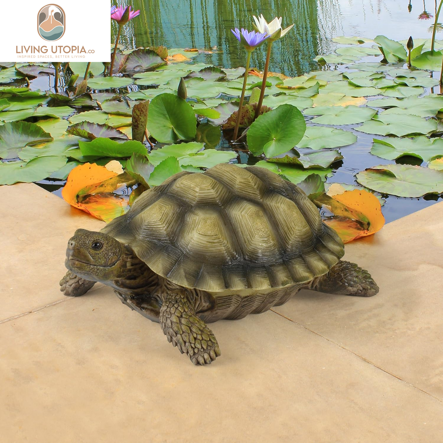 QM1887611 Gilbert the Box Turtle Garden Decor Animal Statue, 9 Inch, Full Color
