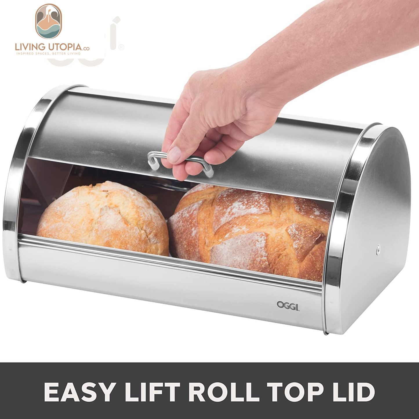 Stainless Steel Roll Top Bread Box for Kitchen Countertop with Frosted Plexilass Lid - Fits Multiple Loaves of Bread and Other Freshly Baked Goods Including Cookies, Bagels, Muffins