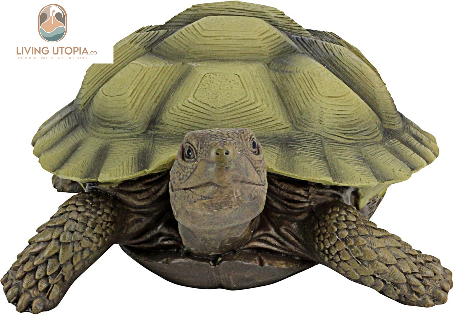 QM1887611 Gilbert the Box Turtle Garden Decor Animal Statue, 9 Inch, Full Color