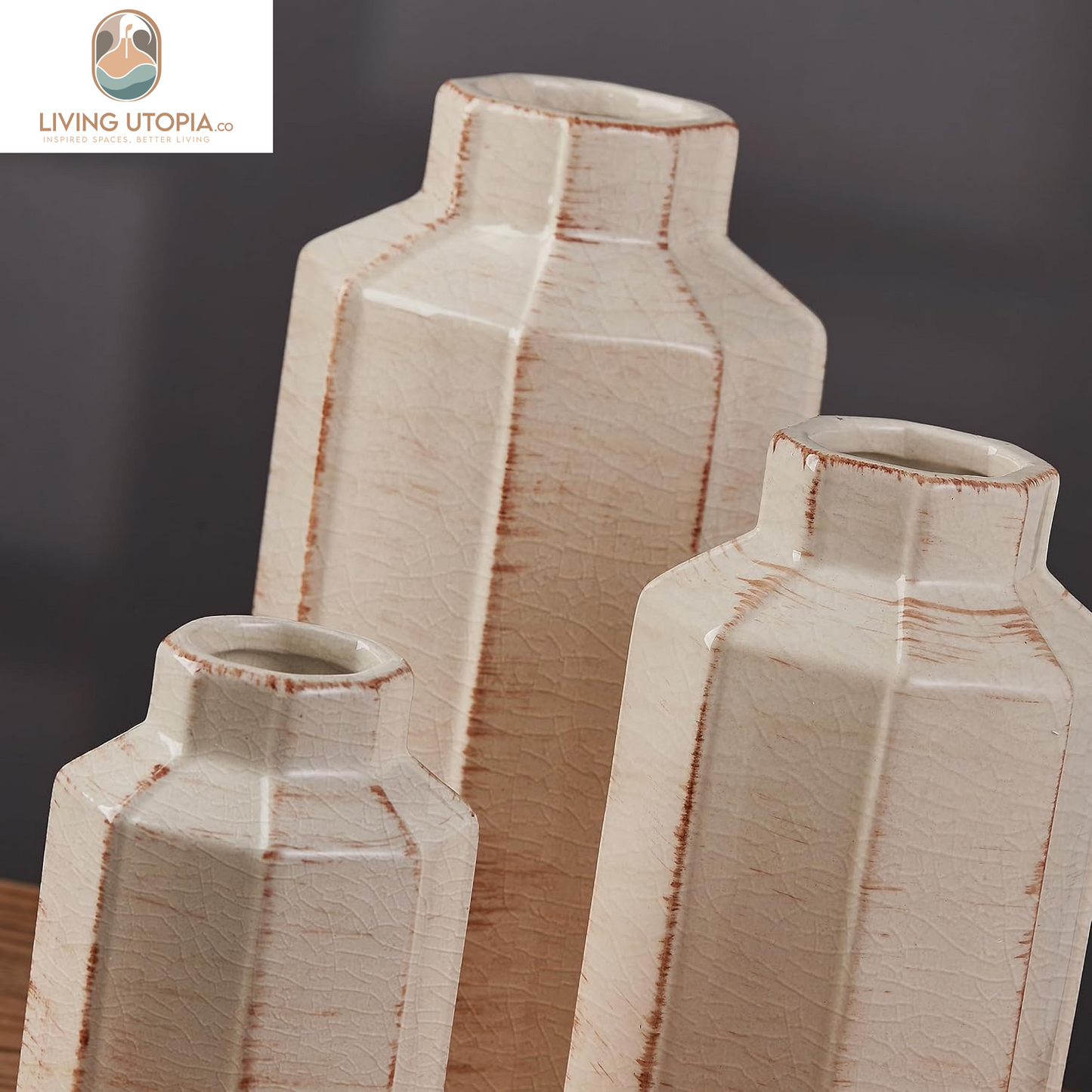 Ceramic Rustic Farmhouse Vase Set of 3,Ice Cracked Glazed Terracotta Vase,Large Vase for Decor,Fall Decoratiion Vases for Home, Table, Living Room, Shelf