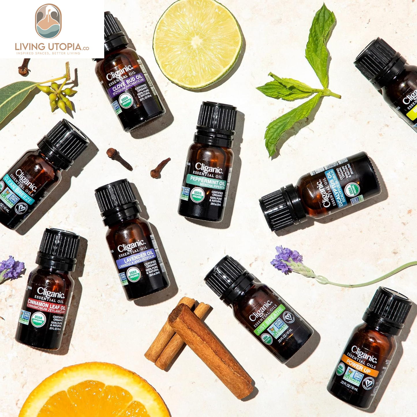 Organic Sweet Orange Essential Oil, 10Ml - 100% Pure Natural for Aromatherapy Diffuser | Non-Gmo Verified (Packaging May Vary)