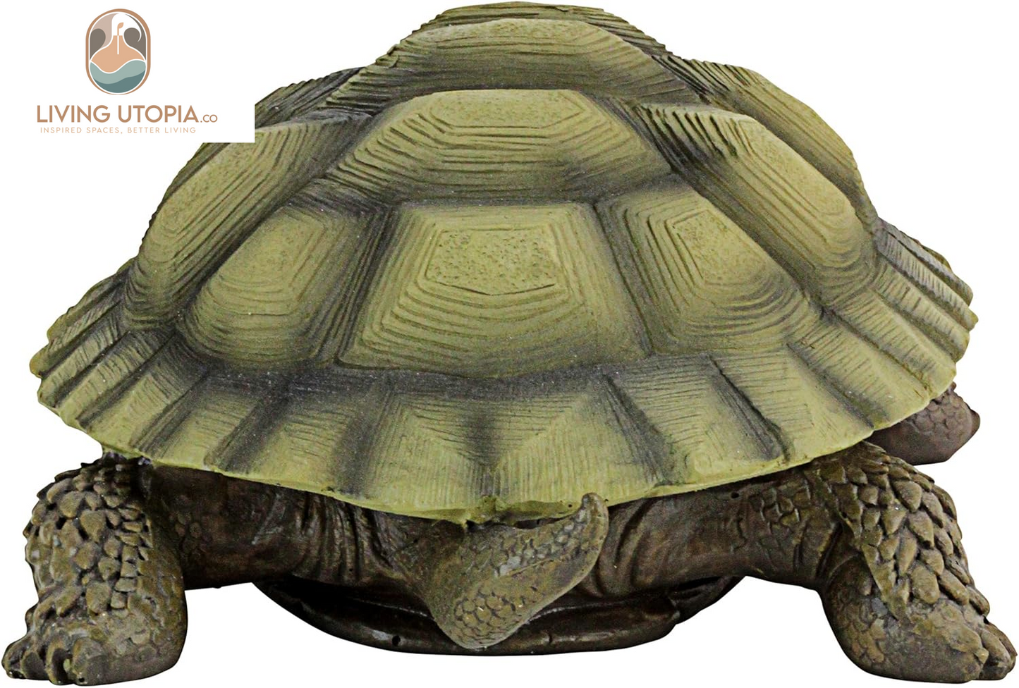QM1887611 Gilbert the Box Turtle Garden Decor Animal Statue, 9 Inch, Full Color