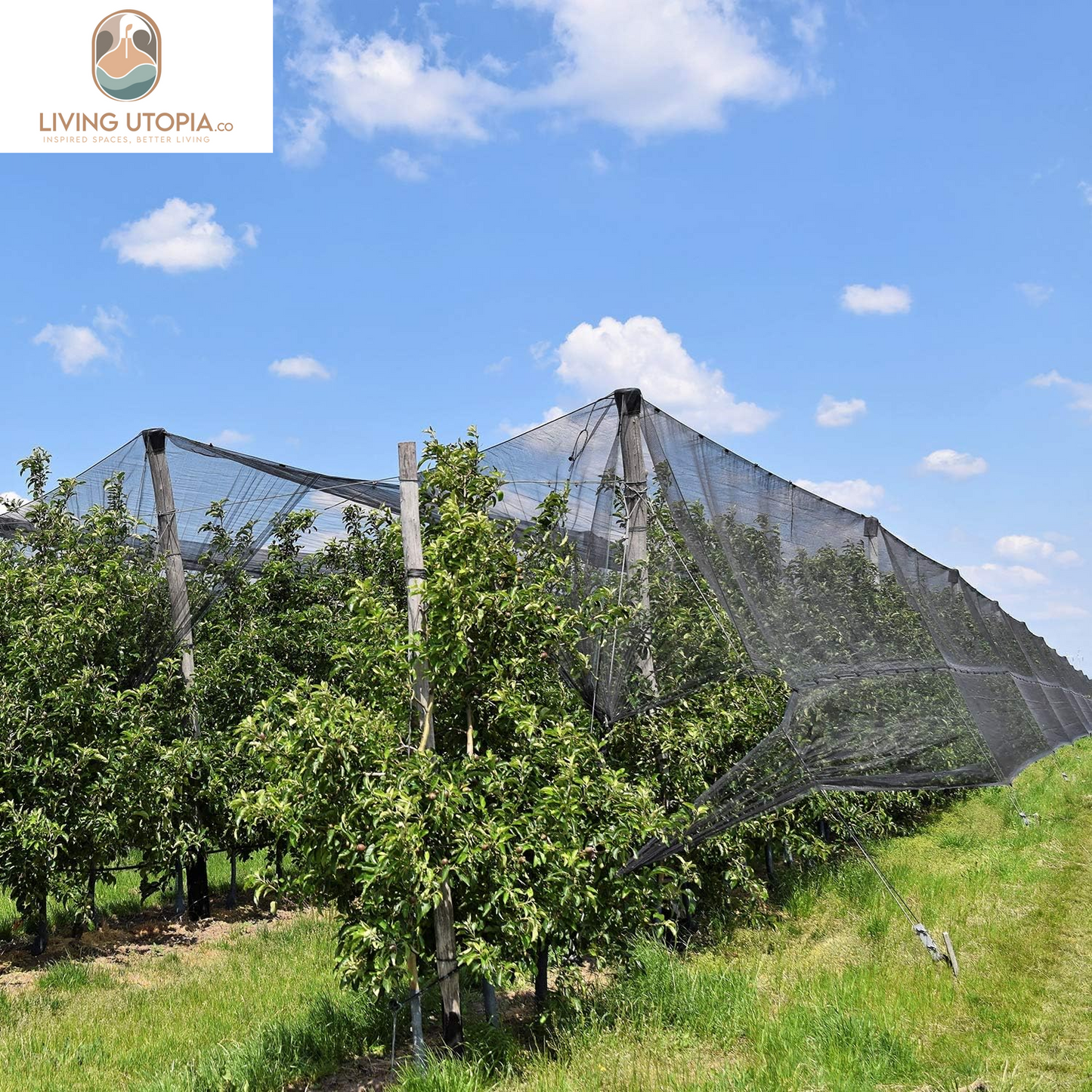 Black Outdoor Insect Netting (9.84 x 32.81 ft)