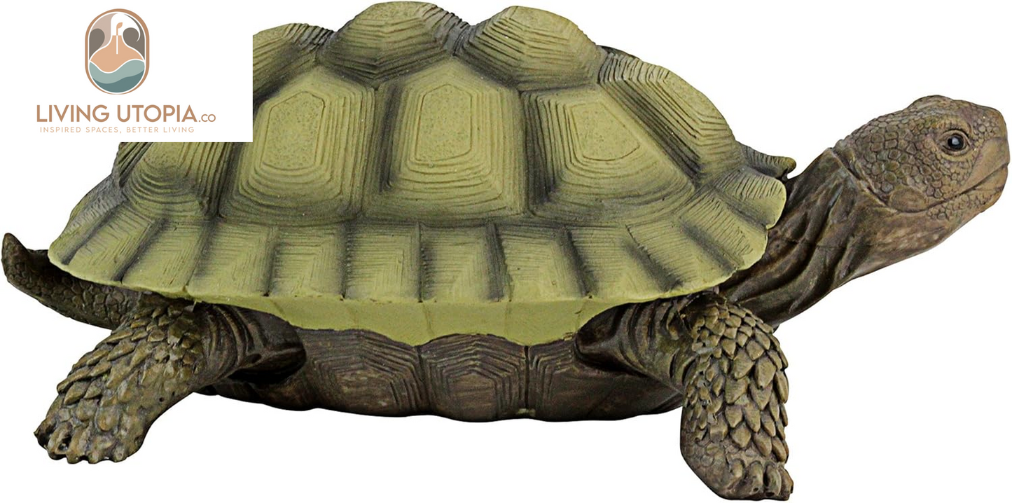 QM1887611 Gilbert the Box Turtle Garden Decor Animal Statue, 9 Inch, Full Color