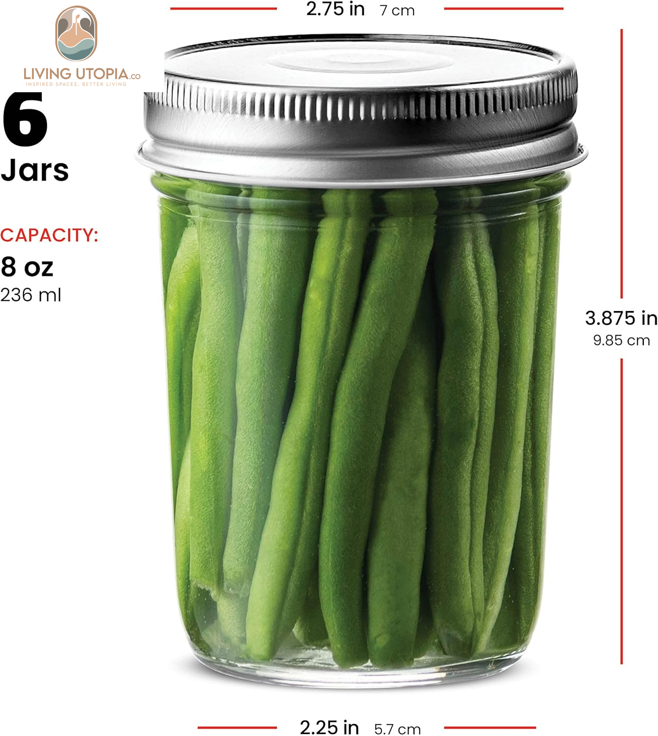 Glass Regular Mouth Mason Jars, 8 Oz Jars with Silver Metal Airtight Lids for Meal Prep, Dry Food Storage, Canning, Drinking, for Overnight Oats, Jelly, Spices, Salads, Yogurt (6 Pack)