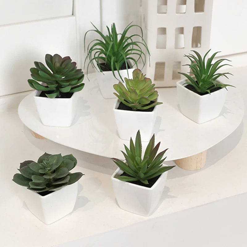 Six small artificial succulents in white square pots arranged on a sleek white tabletop.