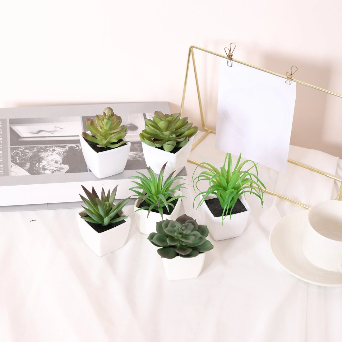 Succulent plants arranged on a white table with a DIY aesthetic, creating a stylish and budget-friendly home decor setup