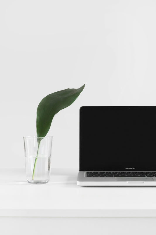 A minimalist desk setup featuring a single green leaf in a glass of water next to a closed MacBook Pro on a white surface.