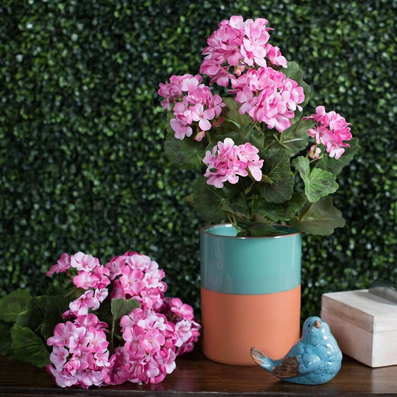 Light Pink Geranium Bushes