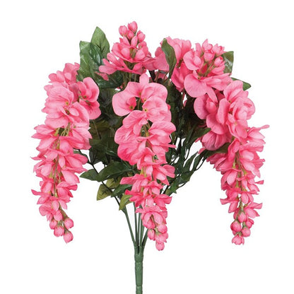 Pink Wisteria Bushes Plant - 3 Piece