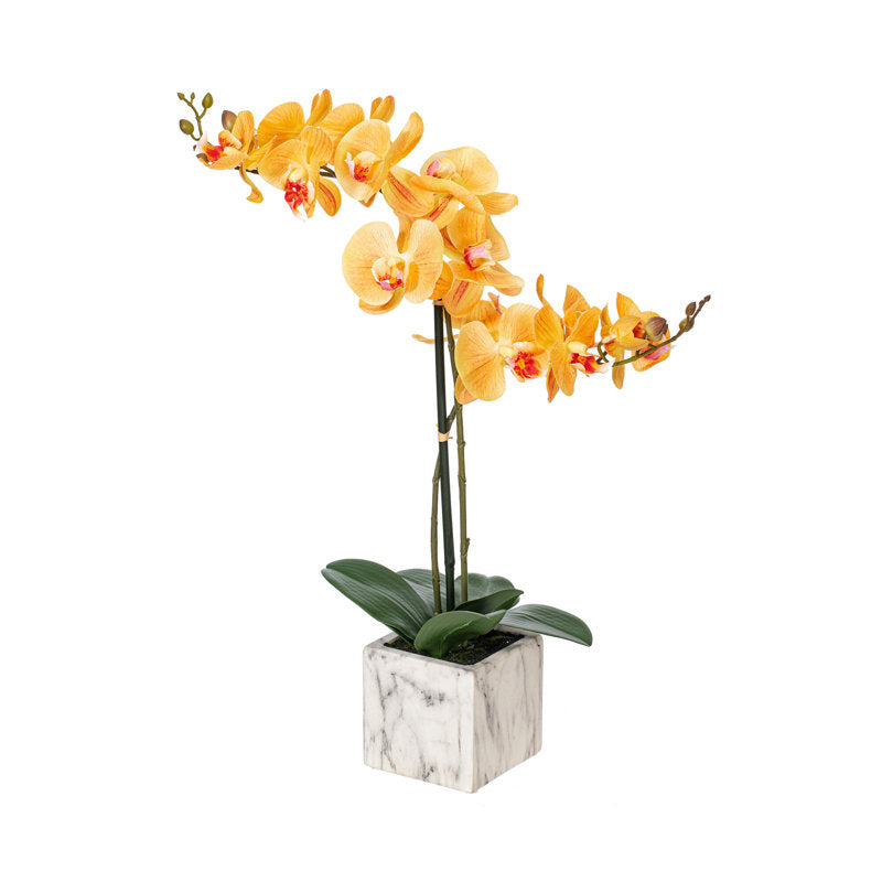 Artificial Potted Real Touch Phalaenopsis