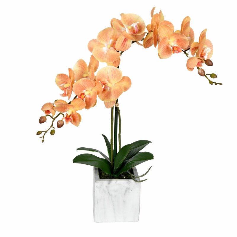 Artificial Potted Real Touch Phalaenopsis