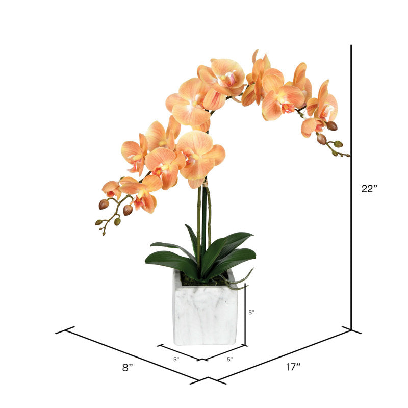 Artificial Potted Real Touch Phalaenopsis