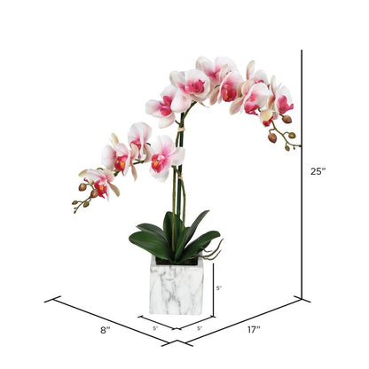 Artificial Potted Pink Phalaenopsis