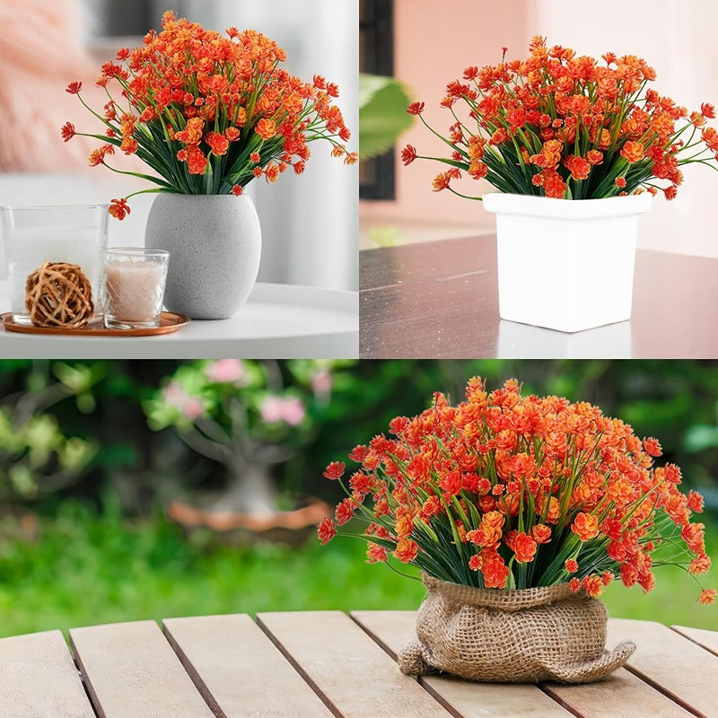 UV-Resistant Outdoor Flowers