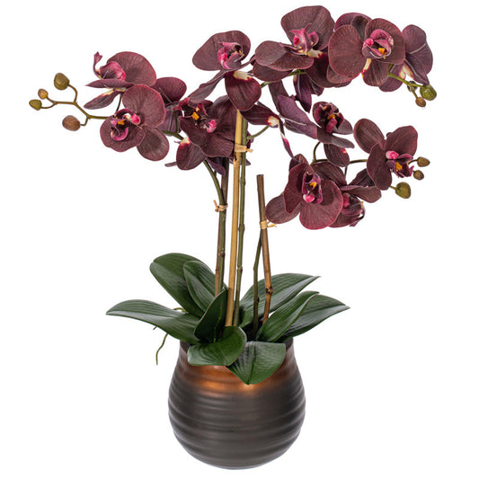 Artificial Potted Phalaenopsis Plant