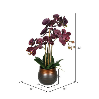 Artificial Potted Phalaenopsis Plant