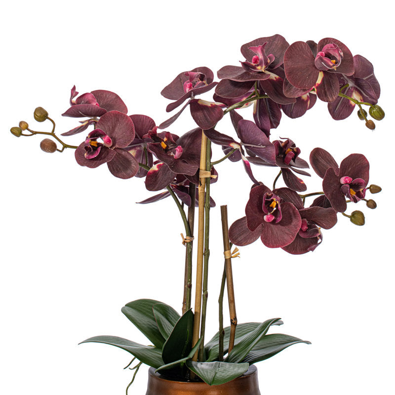 Artificial Potted Phalaenopsis Plant