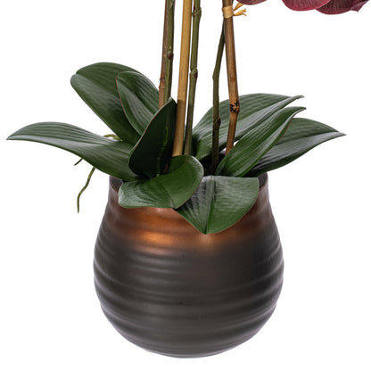 Artificial Potted Phalaenopsis Plant