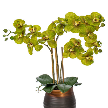 Real Touch Potted Phalaenopsis Plant