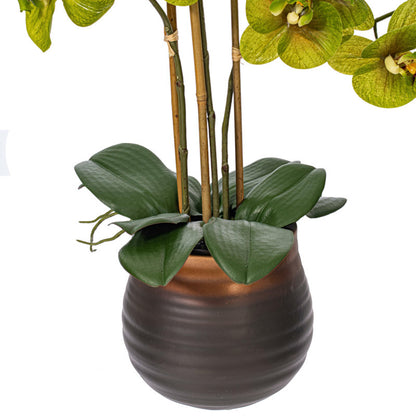 Real Touch Potted Phalaenopsis Plant