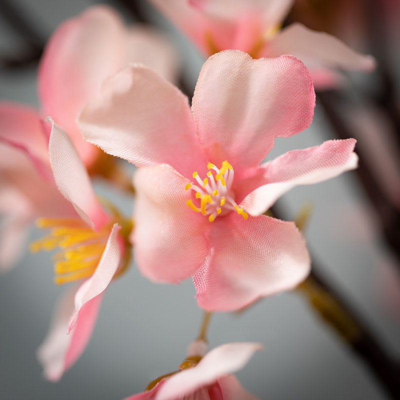 Cherry Blossom Arrangement