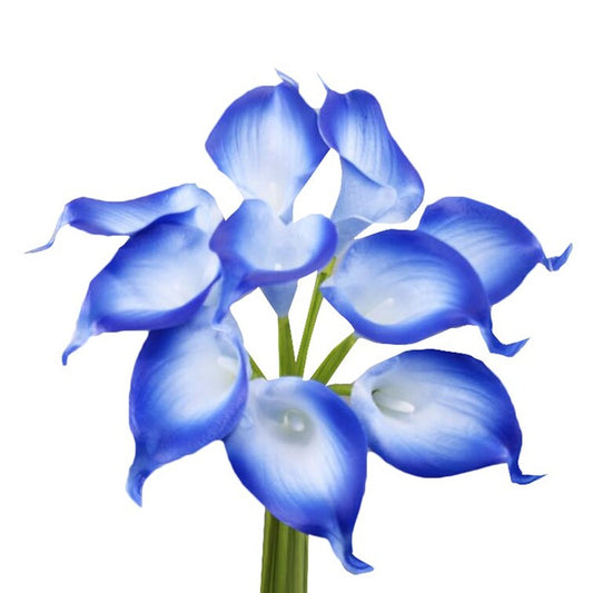 Blue Lillies Flower Arrangement - Set Of 10 Stems