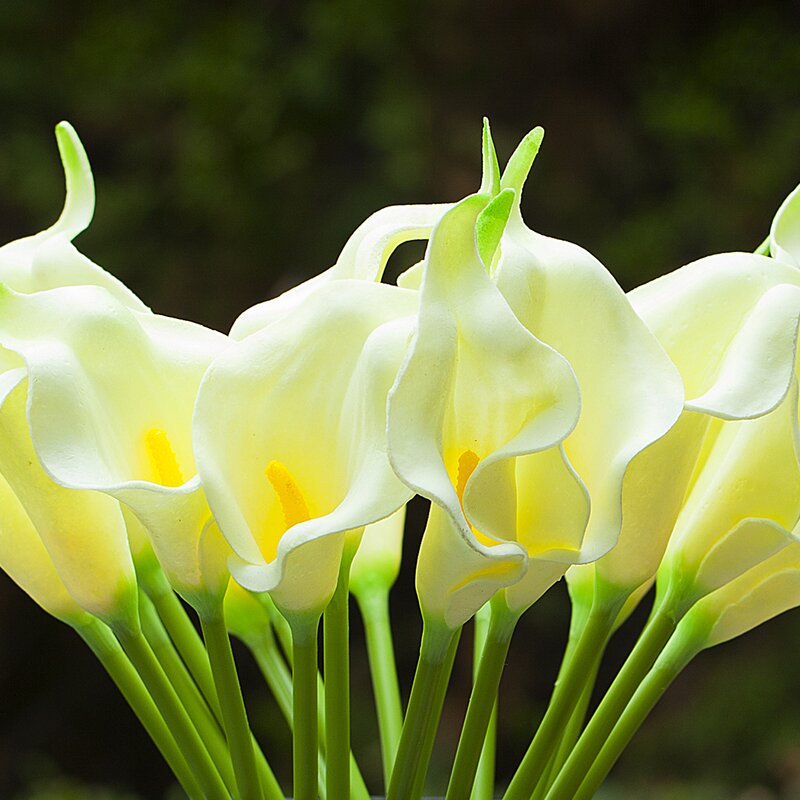 Ivory Lillies Flowers in Vase