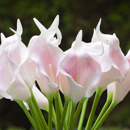 Pink Lillies Flowers in Vase