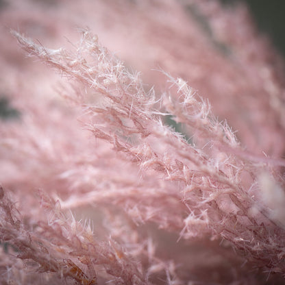 Purple Dried Faux Reed Grass