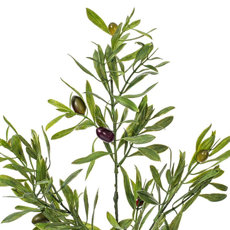 Set Of 2 Olive Arrangement