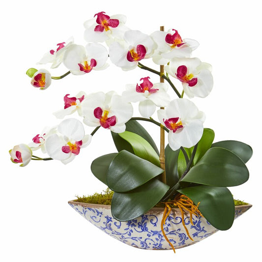 White Orchid Floral Arrangement