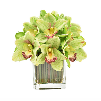 Orchid Flowers In Glass Vase