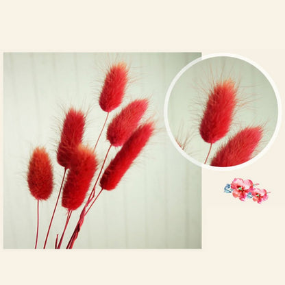 Red Preserved Lagurus Ovatus Plant - Set of 150