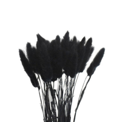 Black Preserved Lagurus Ovatus Plant - Set of 150 Stems