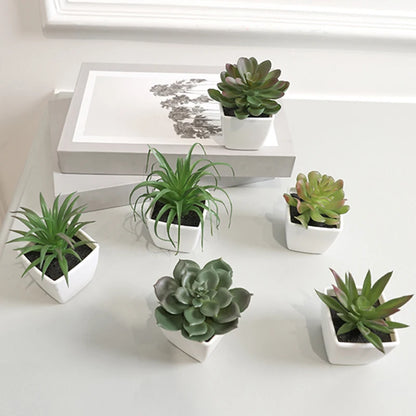 6-Piece Mini Evergreen Artificial Succulent Plants