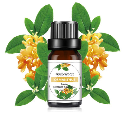 10ml Fruit-Scented Essential Oil