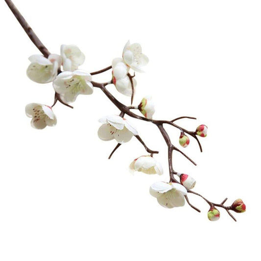 White Cherry Blossom Stems