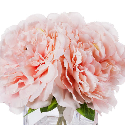 Pink Peony Pink Flowers