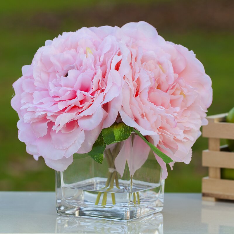 Pink Peony Pink Flowers