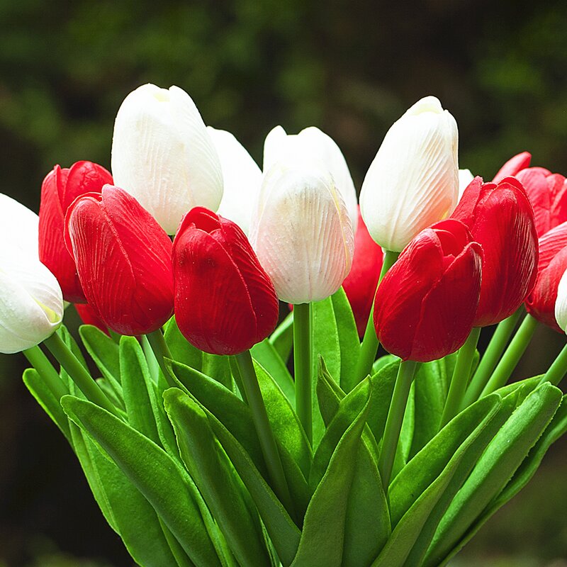 White Red Silk Tulip Flowers