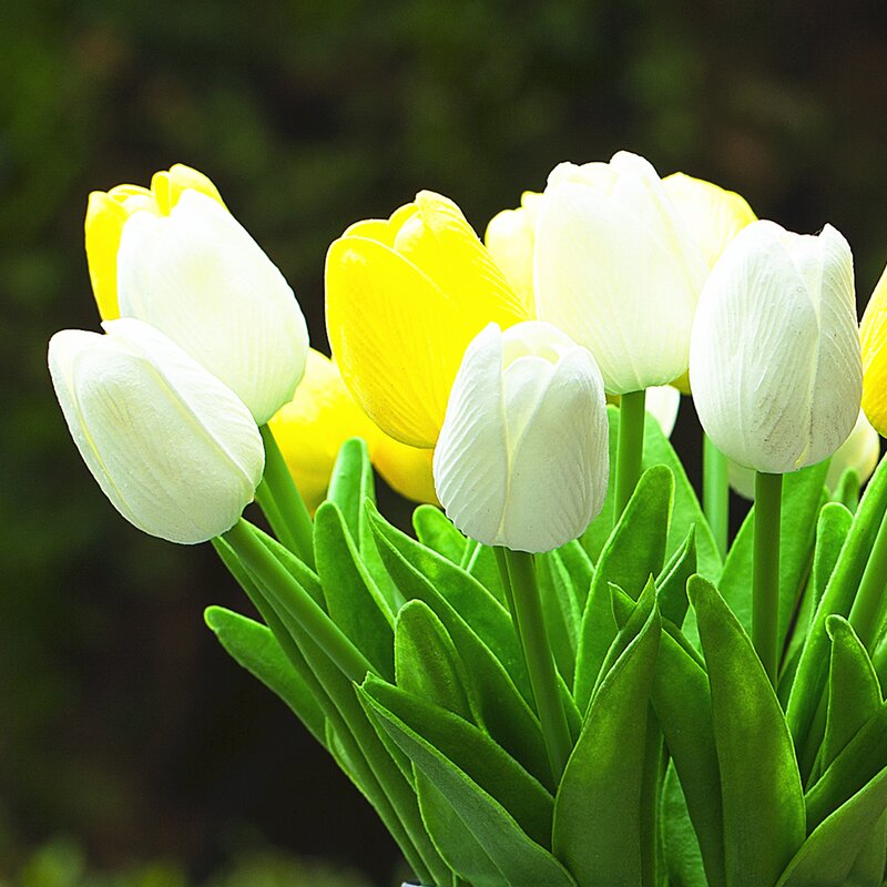 White Yellow Silk Tulip Flowers