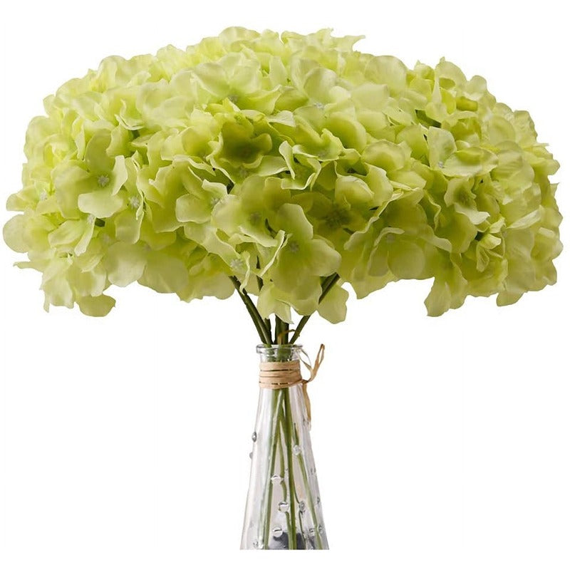 Green Hydrangea Flowers w/ Stems