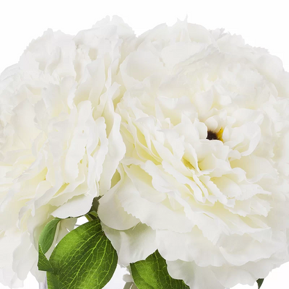 White Peony Flowers Arrangement