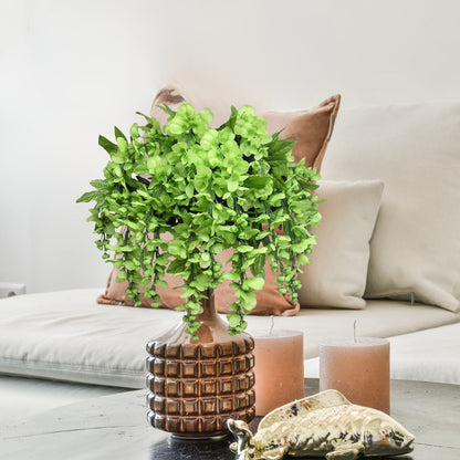 Kiwi Wisteria Plant Arrangement