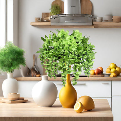 Kiwi Wisteria Plant Arrangement