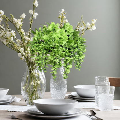 Kiwi Wisteria Plant Arrangement